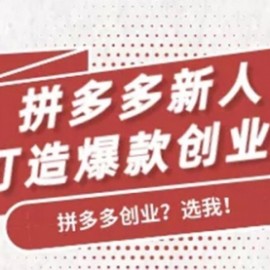 拼多多新人打造爆款创业课：快速引流持续出单，适用于所有新人