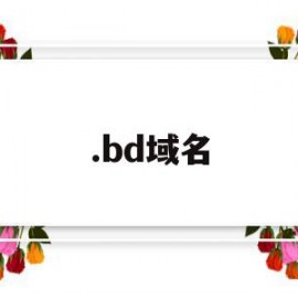 .bd域名的简单介绍