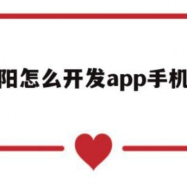 沈阳怎么开发app手机软件(沈阳软件开发培训机构去哪个学)