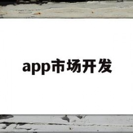 app市场开发(app开发行业分析)