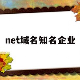 net域名知名企业(net域名有投资价值吗)