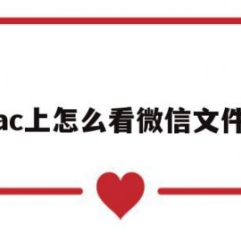 mac上怎么看微信文件夹(mac微信里的文件存在哪里)