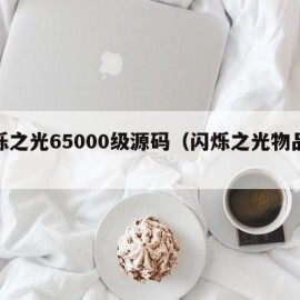 闪烁之光65000级源码（闪烁之光物品代码）