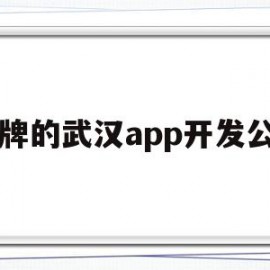 品牌的武汉app开发公司(武汉手机app软件开发)