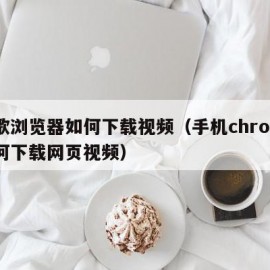 谷歌浏览器如何下载视频（手机chrome如何下载网页视频）