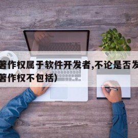 软件著作权属于软件开发者,不论是否发表（软件著作权不包括）