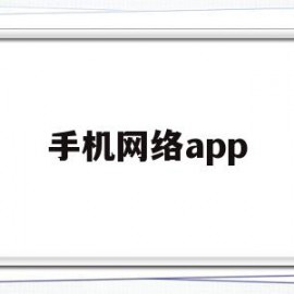 手机网络app(手机网络APP登录网络异常请检查网络设置是什么意思)