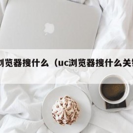 uc浏览器搜什么（uc浏览器搜什么关键字）