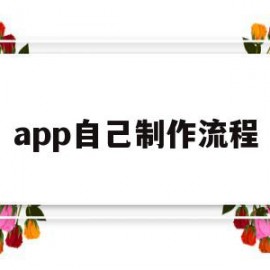 app自己制作流程(APP原型图制作流程)