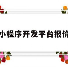 小程序开发平台报价(小程序开发平台报价单怎么写)