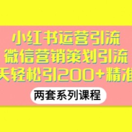 小红书运营引流+微信营销策划引流，每天轻松引200+精准粉