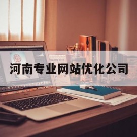 包含河南专业网站优化公司的词条