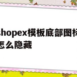 关于shopex模板底部图标怎么隐藏的信息