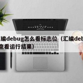 汇编debug怎么看标志位（汇编debug查看运行结果）