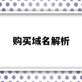 购买域名解析(域名解析需要购买吗)