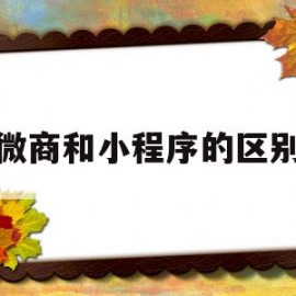 微商和小程序的区别(微信小程序与微信商城的区别)