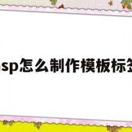 asp怎么制作模板标签(标签在asp里的写法是?)