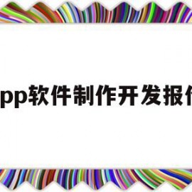 app软件制作开发报价(软件场控助手开发app制作)