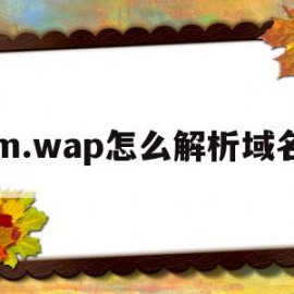 m.wap怎么解析域名(wordpress域名解析)