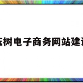 玉树电子商务网站建设(玉树电子商务网站建设方案)