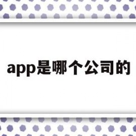 app是哪个公司的(闲鱼app是哪个公司的)