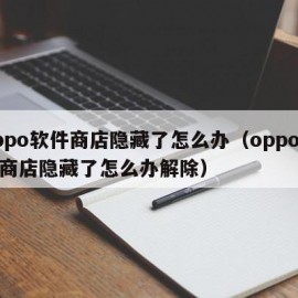 oppo软件商店隐藏了怎么办（oppo软件商店隐藏了怎么办解除）