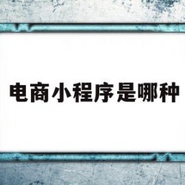 电商小程序是哪种(电商小程序平台有哪些)