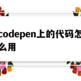 codepen上的代码怎么用(codependence)