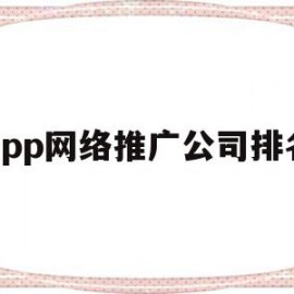 app网络推广公司排名(网络app推广是什么公司)