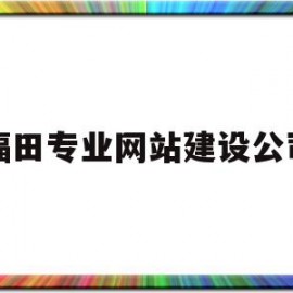 福田专业网站建设公司(深圳福田网专班)