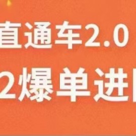 2022直通车爆单进阶班2.0，六天学会如何通过直通车爆单（价值998元）