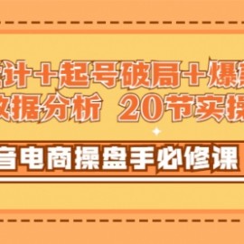 抖音电商操盘手必修课：顶层设计+起号破局+爆款运营+数据分析 (20节实操课)