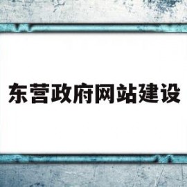 东营政府网站建设(东营政府网站建设招标)