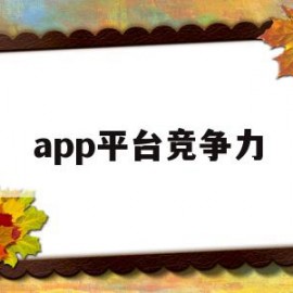 app平台竞争力(app竞争对手的主要优势)