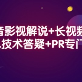 抖音影视解说+长视频+常见技术答疑+PR专门课