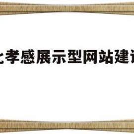 湖北孝感展示型网站建设价格的简单介绍