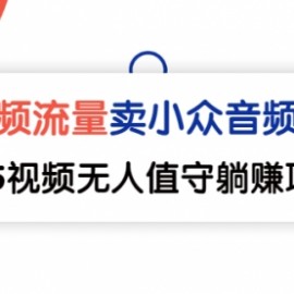 借视频流量，卖小众音频变现，日传5视频无人值守躺赚项目