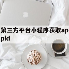 包含第三方平台小程序获取appid的词条