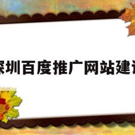 深圳百度推广网站建设(深圳百度推广属于哪家公司)