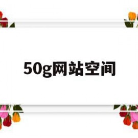 50g网站空间(网站空间大小有什么区别)