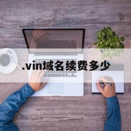 .vin域名续费多少(vip 域名)