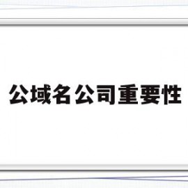 公域名公司重要性(公司域名需要续费吗)