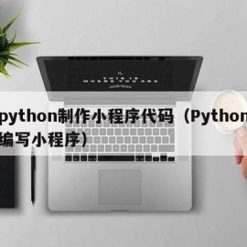 python制作小程序代码（Python编写小程序）