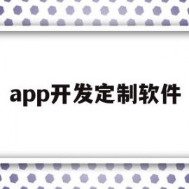 app开发定制软件(app开发定制软件哪个好)