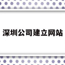 深圳公司建立网站(深圳建网站公司哪家好)