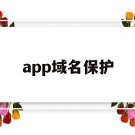 app域名保护(域名保护的原则包括)