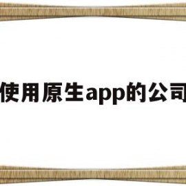 使用原生app的公司(原生app用什么语言开发)