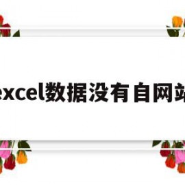 excel数据没有自网站(excel没有网络)