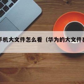 华为手机大文件怎么看（华为的大文件在哪里）