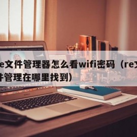 re文件管理器怎么看wifi密码（re文件管理在哪里找到）